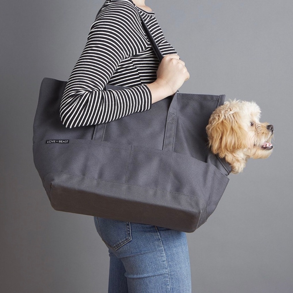 Love Thy Beast Gray Canvas Pet Tote (Large)